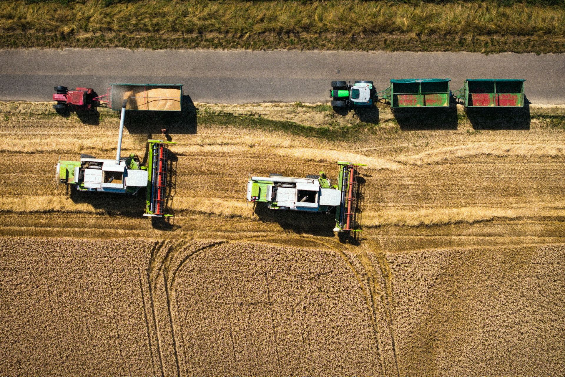 AgroBull Agronegocios