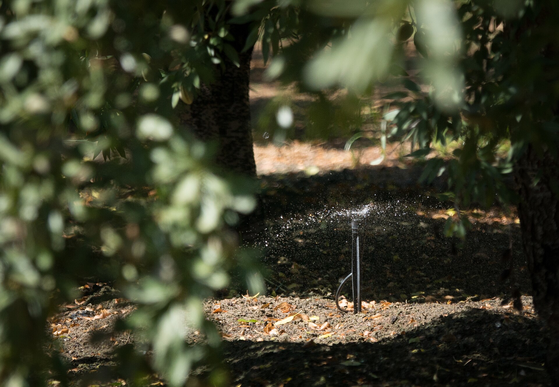Agua y Riego