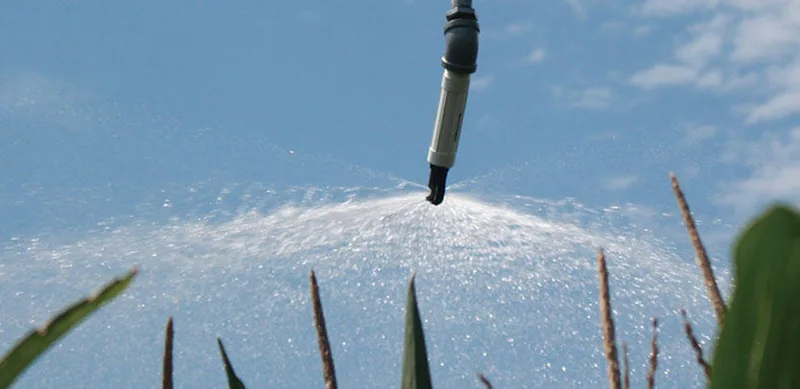 End Spray