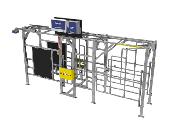 Separador automático de vacas Dairy Drafter